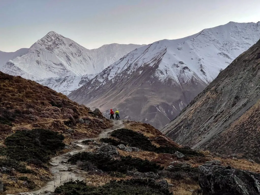 Why Riders Choose the Pioneers